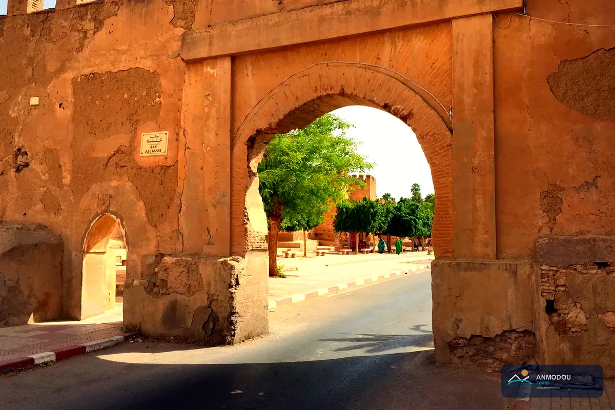 Tiout Oasis Private Day Trips From Agadir private route idea from Agadir