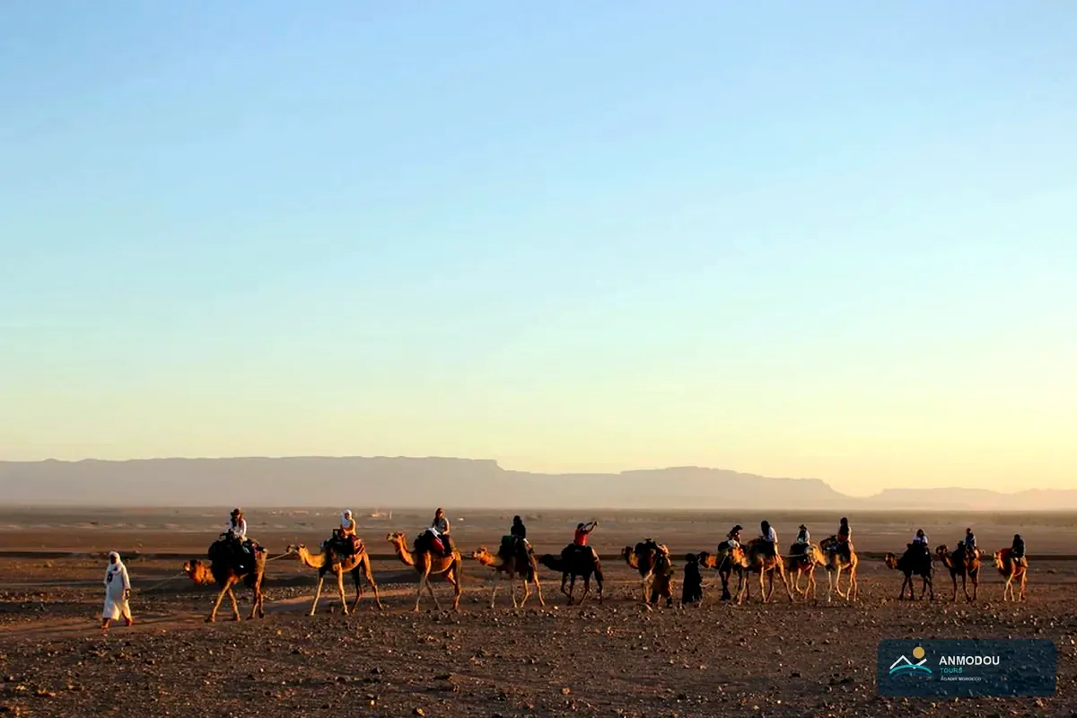 Calm sunset camel ride near Agadir with verified operator