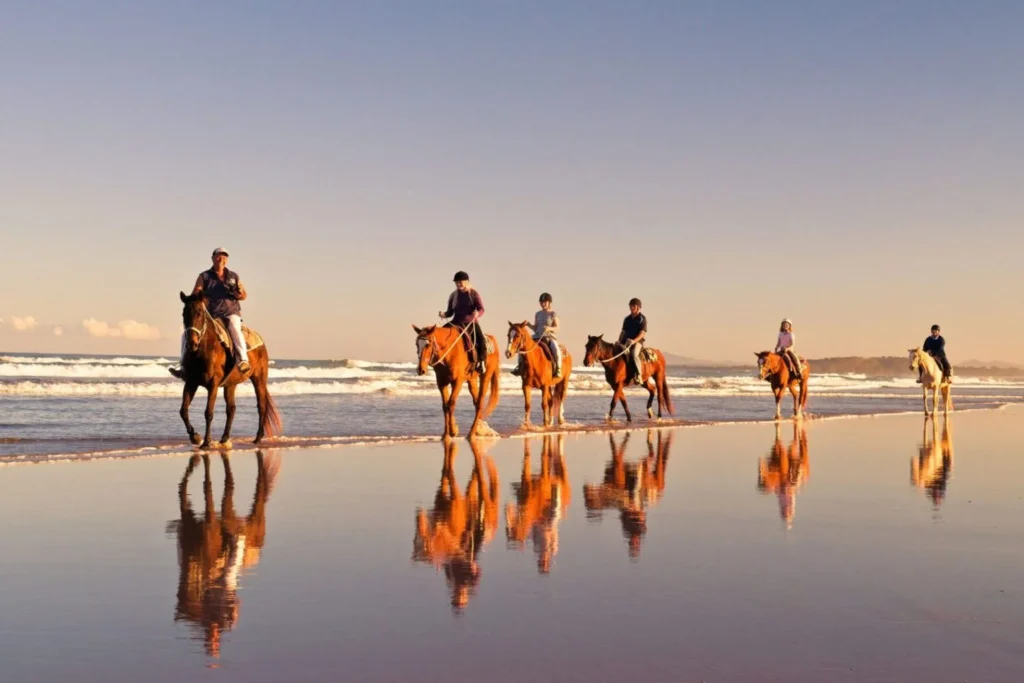 Scenic beach horse riding near Agadir with verified operator